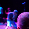 Ted Leo and the Pharmacists